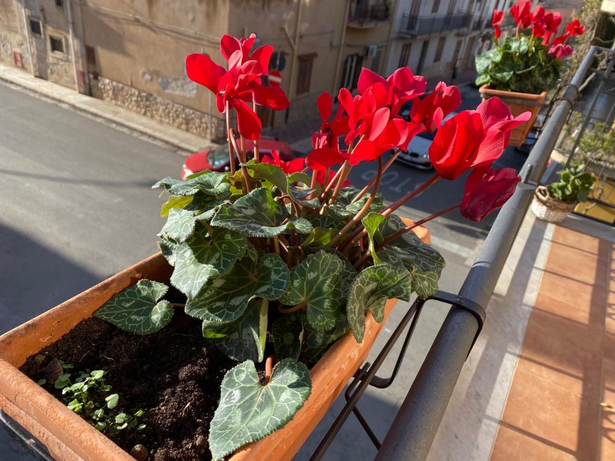 Apartment In The Center Terrasini Kültér fotó